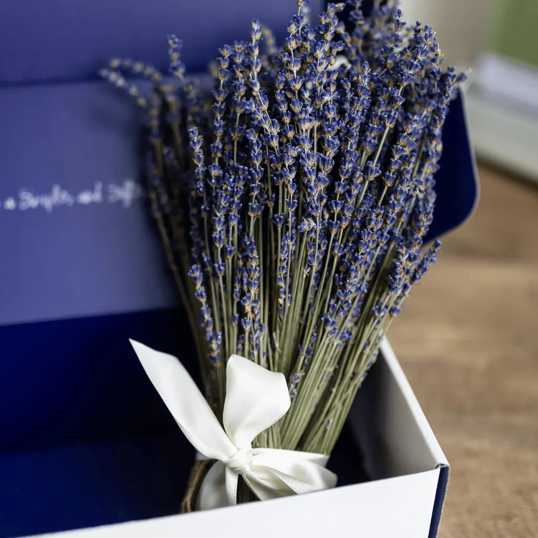 Dried Lavender Bundle