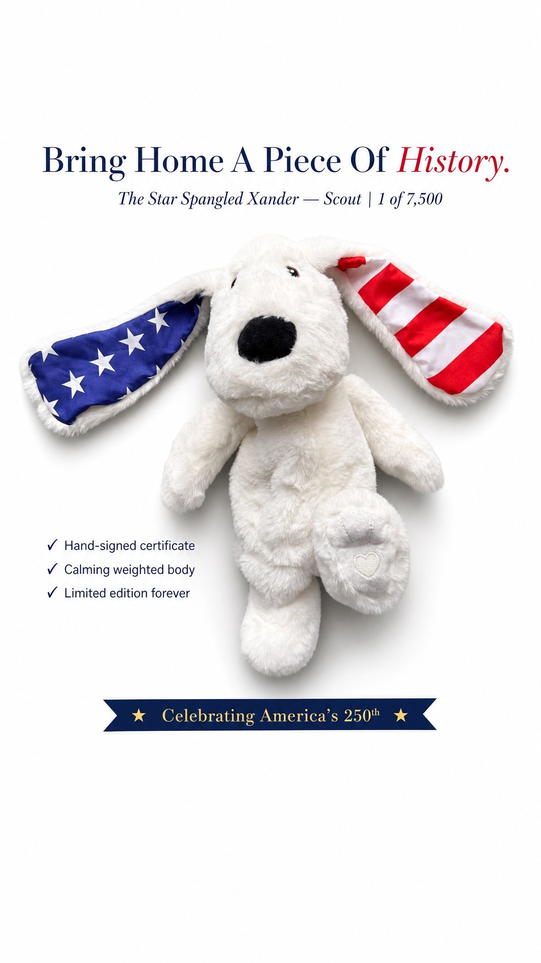 Star Spangled Dog